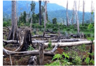 Đọc hiểu Nguyên nhân khiến Trái Đất nóng lên (chi tiết nhất)