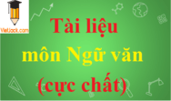 Tài liệu môn Ngữ văn (hay, chi tiết)