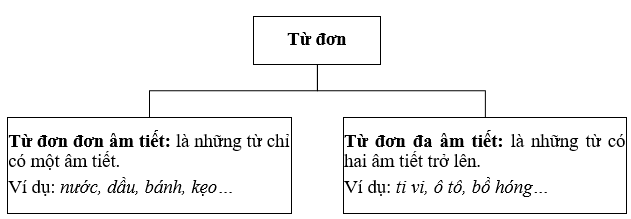 Từ đơn lớp 6 (Lý thuyết, Bài tập)