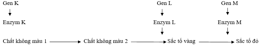 Bài tập Tương tác gen có lời giải