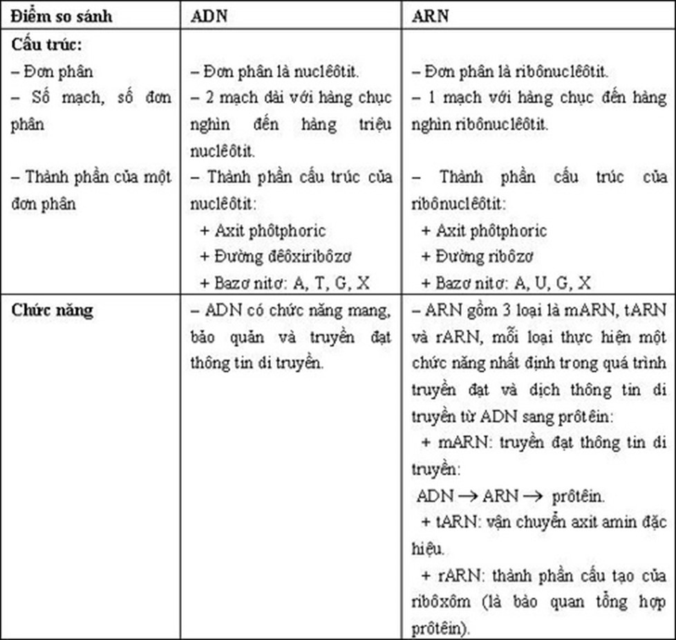 Phân biệt ADN và ARN