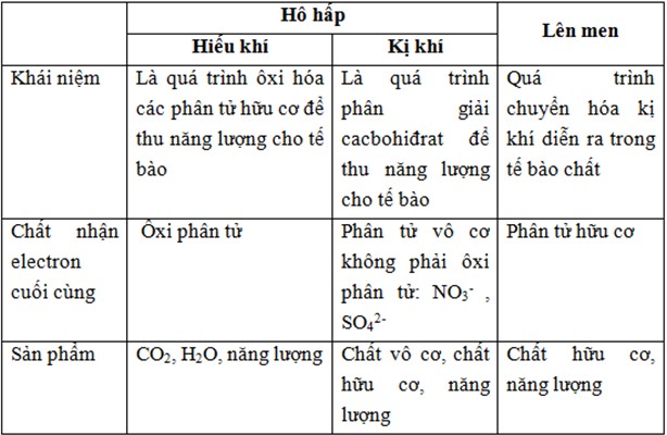 Phân biệt hô hấp hiếu khí, hô hấp kị khí và lên men