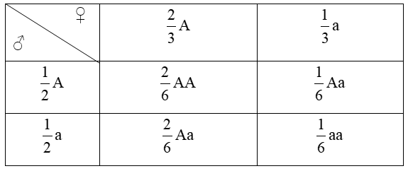 Tổng hợp kiến thức Di truyền người đầy đủ, chi tiết