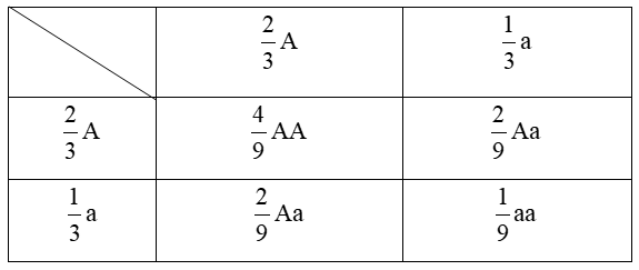 Tổng hợp kiến thức Di truyền người đầy đủ, chi tiết