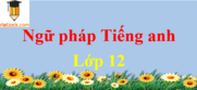 Tổng hợp ngữ pháp Tiếng Anh lớp 12 hay, chi tiết