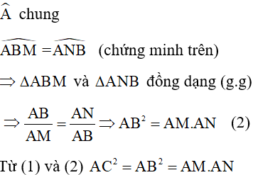 Các dạng toán Hình học ôn thi vào lớp 10 năm 2024