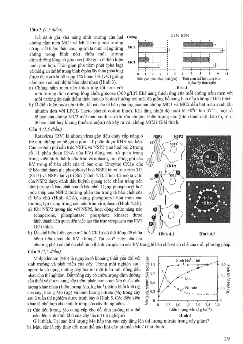 Đề thi HSG Sinh học Quốc gia 2025-2026 có lời giải (ngày 1)
