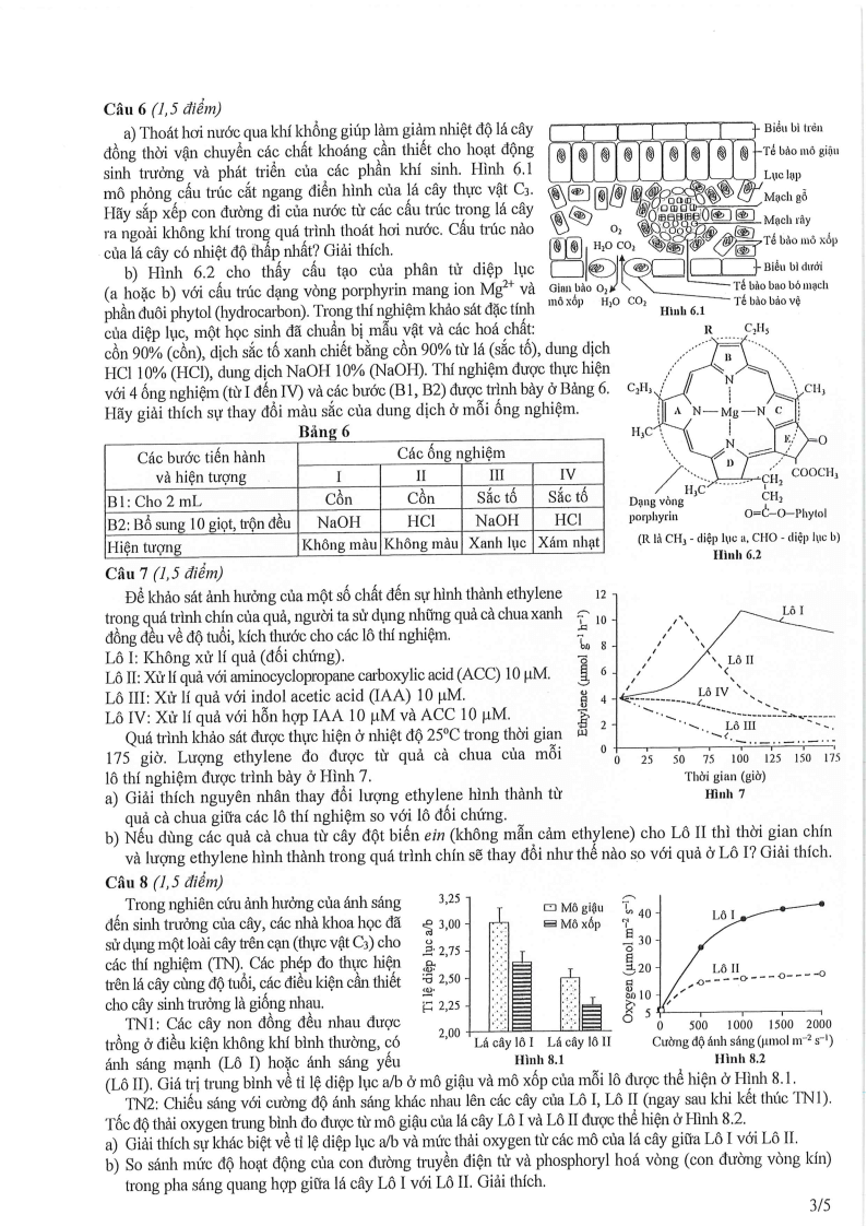 Đề thi HSG Sinh học Quốc gia 2025-2026 có lời giải (ngày 1)