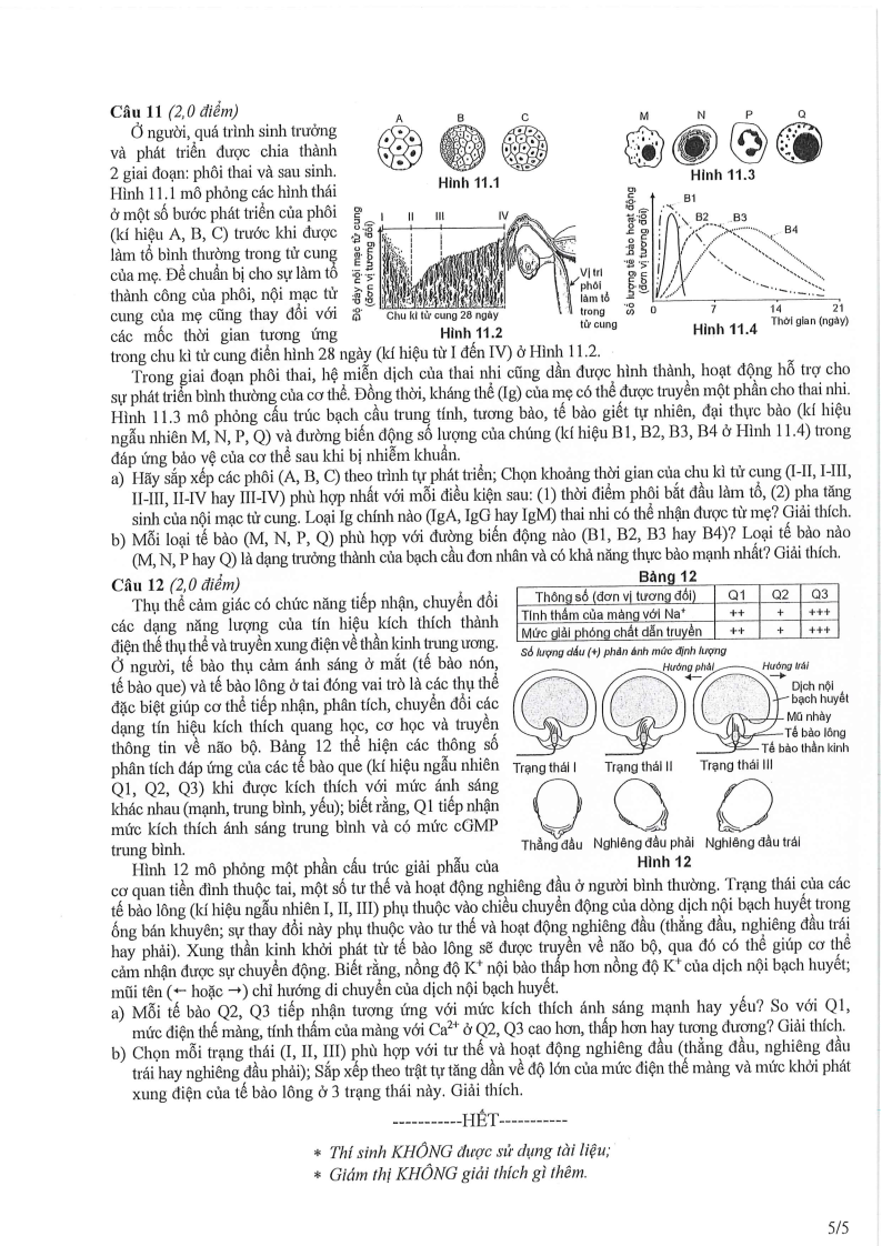Đề thi HSG Sinh học Quốc gia 2025-2026 có lời giải (ngày 1)