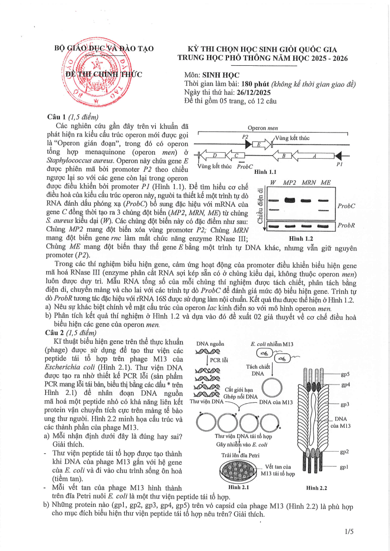 Đề thi HSG Sinh học Quốc gia 2025-2026 có lời giải (ngày 2)