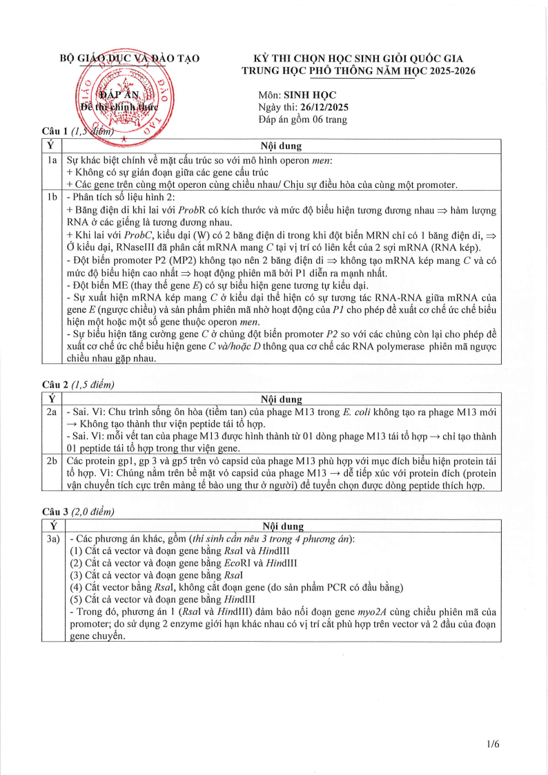 Đề thi HSG Sinh học Quốc gia 2025-2026 có lời giải (ngày 2)