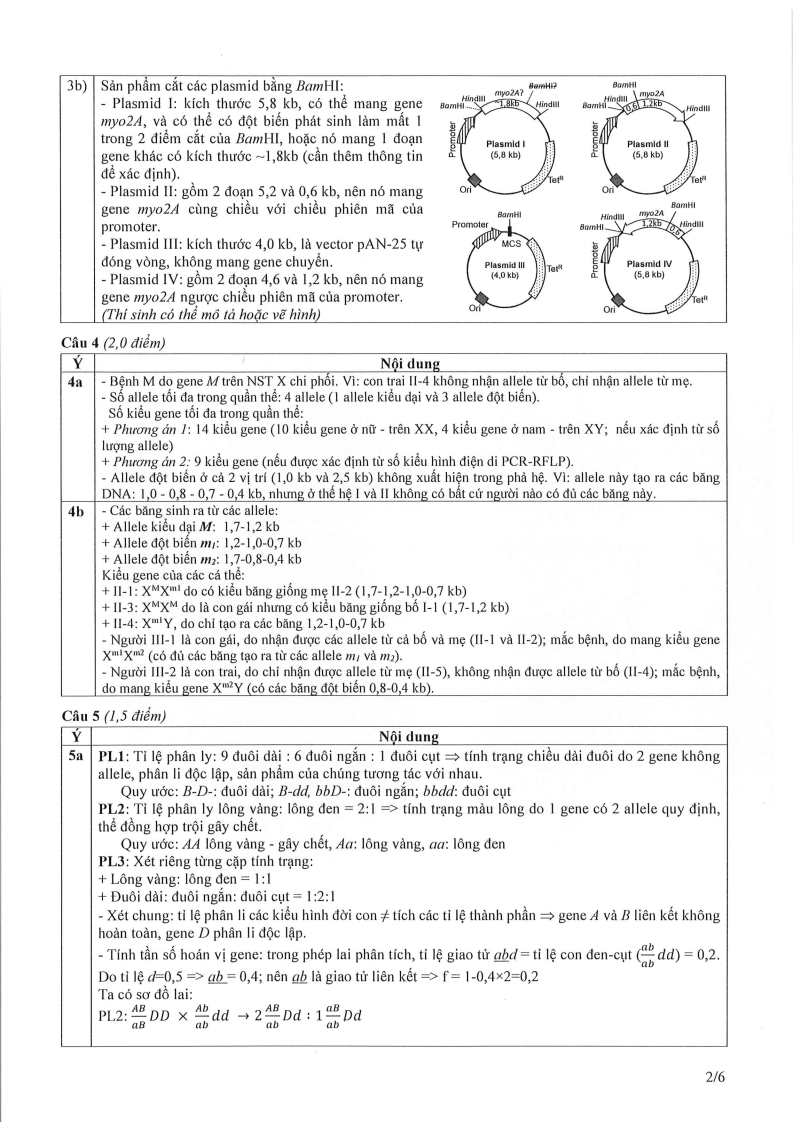 Đề thi HSG Sinh học Quốc gia 2025-2026 có lời giải (ngày 2)