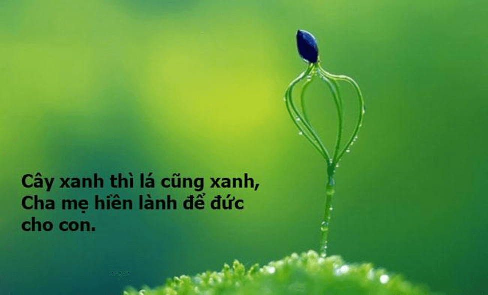 500 câu ca dao tục ngữ ôn thi Trạng Nguyên Tiếng Việt