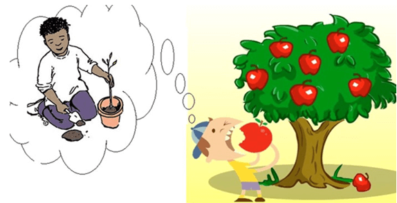 46+ Ca dao, tục ngữ và thành ngữ về uống nước nhớ nguồn (hay, đầy đủ nhất)