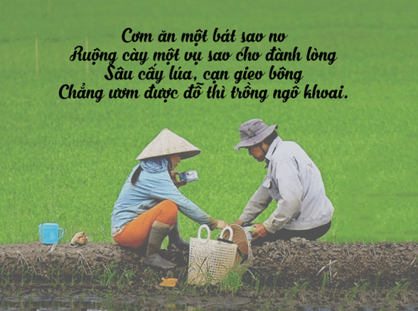 120+ Ca dao, tục ngữ về thiên nhiên lao động và con người xã hội (hay, đầy đủ nhất)