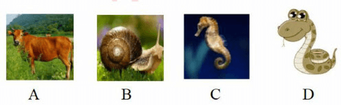 Câu hỏi ôn thi Trạng Nguyên Tiếng Việt lớp 1 Chủ điểm 1: Ôn tập các âm, vần đã học (có đáp án)