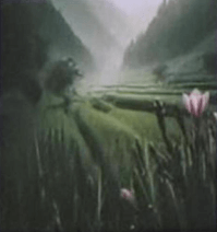 Câu hỏi ôn thi Trạng Nguyên Tiếng Việt lớp 4 Chủ điểm 14: Miêu tả theo tranh (có đáp án)