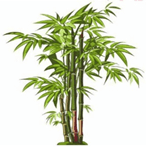 Câu hỏi ôn thi Trạng Nguyên Tiếng Việt lớp 1 Chủ điểm 4: Mô tả hình ảnh (có đáp án)