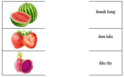 Câu hỏi ôn thi Trạng Nguyên Tiếng Việt lớp 1 Chủ điểm 4: Mô tả hình ảnh (có đáp án)