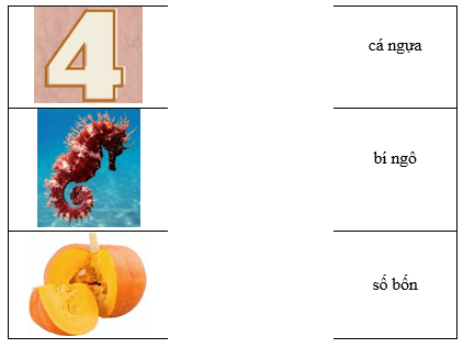 Câu hỏi ôn thi Trạng Nguyên Tiếng Việt lớp 1 Chủ điểm 4: Mô tả hình ảnh (có đáp án)