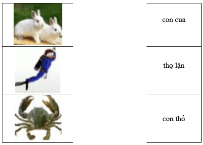 Câu hỏi ôn thi Trạng Nguyên Tiếng Việt lớp 1 Chủ điểm 4: Mô tả hình ảnh (có đáp án)