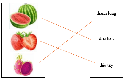 Câu hỏi ôn thi Trạng Nguyên Tiếng Việt lớp 1 Chủ điểm 4: Mô tả hình ảnh (có đáp án)