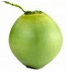 Câu hỏi ôn thi Trạng Nguyên Tiếng Việt lớp 1 Chủ điểm 8: Câu đố (có đáp án)