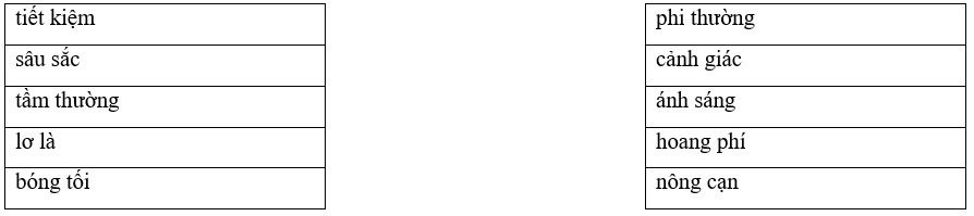 Câu hỏi ôn thi Trạng Nguyên Tiếng Việt lớp 4 Chủ điểm 9: Từ cùng nghĩa, từ trái nghĩa (có đáp án)