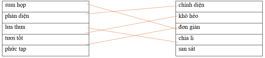 Câu hỏi ôn thi Trạng Nguyên Tiếng Việt lớp 4 Chủ điểm 9: Từ cùng nghĩa, từ trái nghĩa (có đáp án)