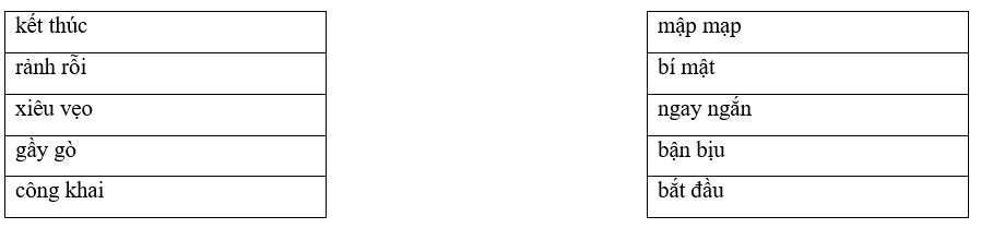 Câu hỏi ôn thi Trạng Nguyên Tiếng Việt lớp 4 Chủ điểm 9: Từ cùng nghĩa, từ trái nghĩa (có đáp án)