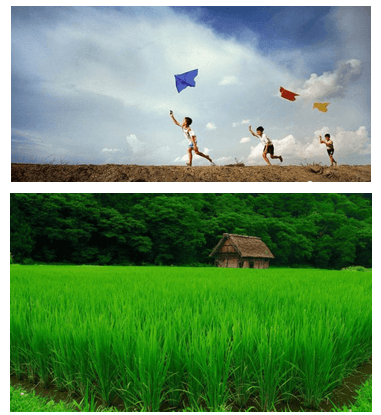 Phân biệt các phương tiện giao tiếp phi ngôn ngữ (bài tập có giải chi tiết)