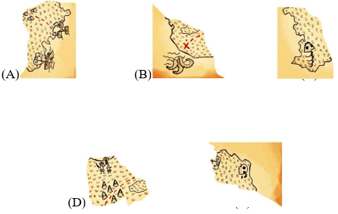 Bộ đề mẫu cấp độ 1 (lớp 1 - 2) cuộc thi Toán Quốc tế Kangaroo