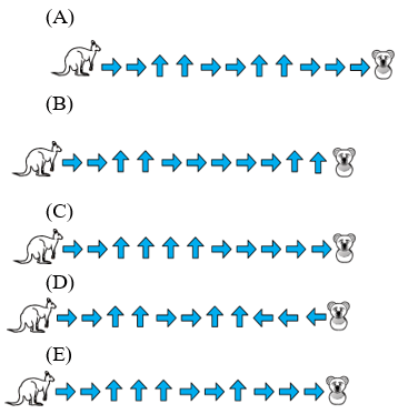 Bộ đề mẫu cấp độ 1 (lớp 1 - 2) cuộc thi Toán Quốc tế Kangaroo