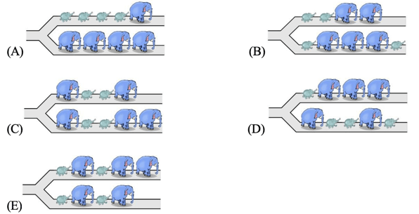 Bộ đề mẫu cấp độ 3 (lớp 5 - 6) cuộc thi Toán Quốc tế Kangaroo
