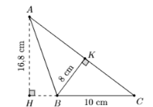 Các câu hỏi mẫu kì thi VTMO lớp 7