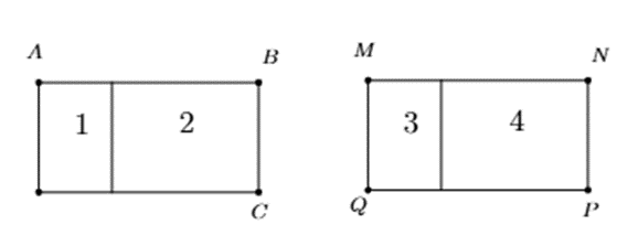 Các câu hỏi mẫu kì thi VTMO lớp 8