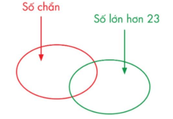 Toán Kangaroo Thống kê - dữ liệu (có lời giải)