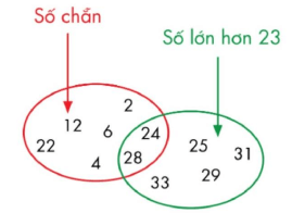 Toán Kangaroo Thống kê - dữ liệu (có lời giải)