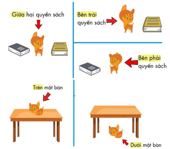 Toán Kangaroo Xác định vị trí (có lời giải)