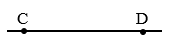 Điểm, đoạn thẳng, đường thẳng, đường cong, ba điểm thẳng hàng. Đường gấp khúc. Hình tứ giác lớp 2 (có lời giải)