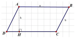 Hình chữ nhật; Hình bình hành lớp 5 (có lời giải)