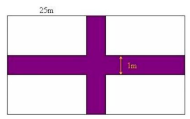 Hình chữ nhật; Hình bình hành lớp 5 (có lời giải)