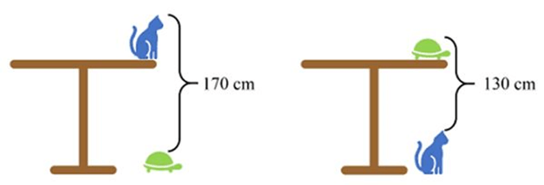 (Toán đố, Toán IQ) Phối cảnh/ Đối xứng (có lời giải)