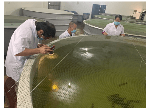 Ngành bệnh học thủy sản là gì? Học bệnh học thủy sản ra làm nghề gì