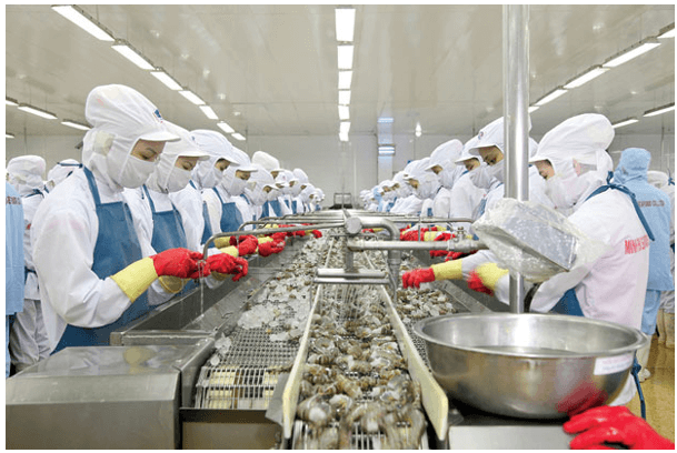 Ngành công nghệ chế biến thủy sản là gì? Cơ hội nghề nghiệp của ngành