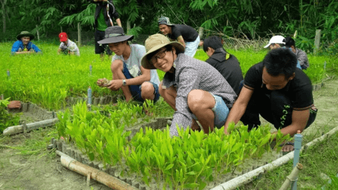 Ngành lâm học là gì? Học lâm học ra làm nghề gì?