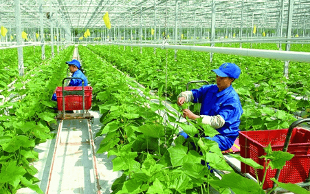 Ngành nông học là gì? Học nông học ra làm nghề gì?