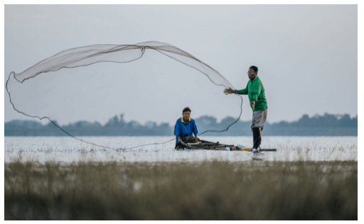 Ngành nuôi trồng thủy sản là gì? Học nuôi trồng thủy sản ra làm nghề gì
