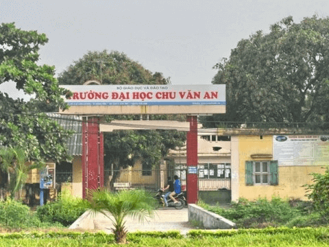 Trường Đại học Chu Văn An (năm 2024)