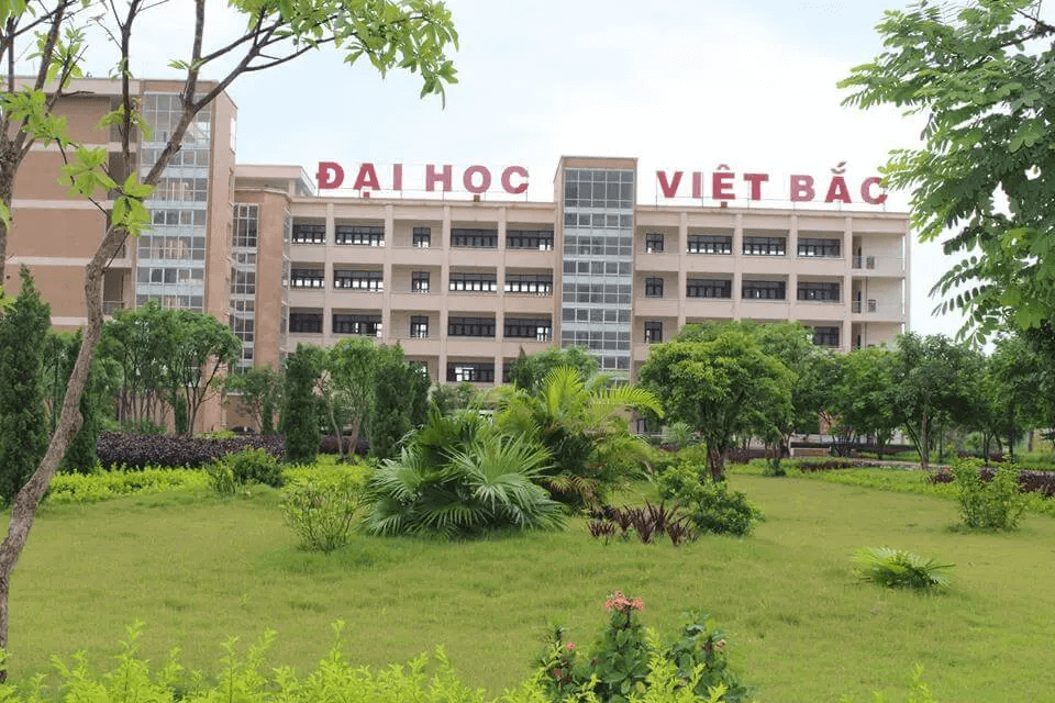Đại học Việt Bắc (năm 2024) (ảnh 2)